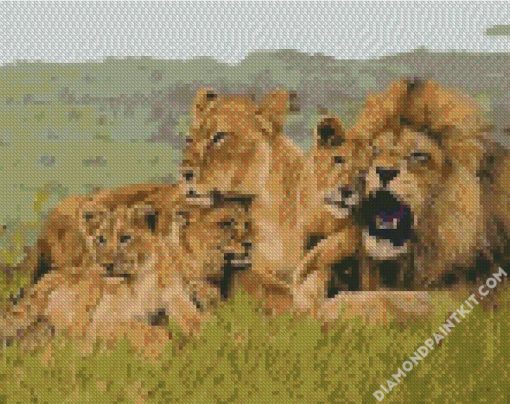 African Lion Family diamond painting