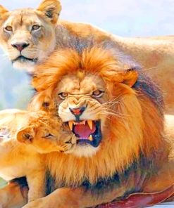 Lion Family diamond painting