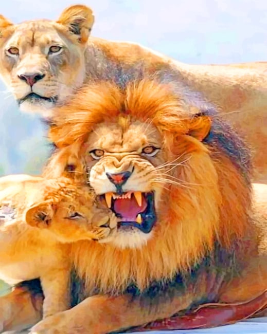 Lion Family diamond painting