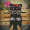 Black Maltipom Puppy diamond painting