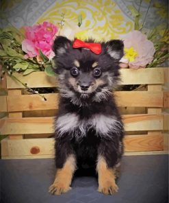 Black Maltipom Puppy diamond painting