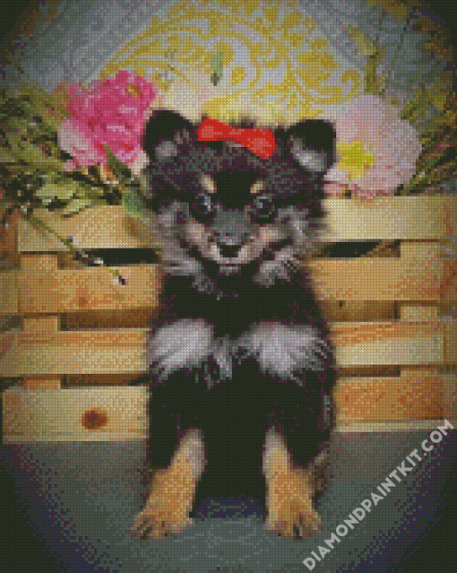 Black Maltipom Puppy diamond painting