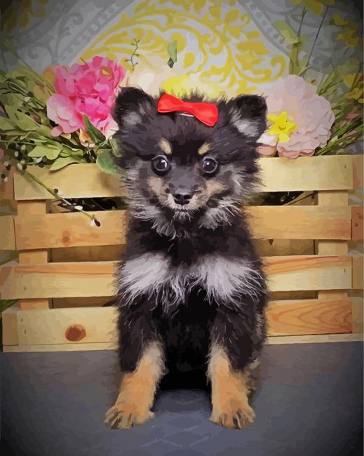 Black Maltipom Puppy diamond painting