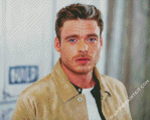 Scottish Richard Madden diamond painting