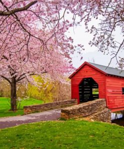 Cherry Blossom Carroll Creek Covered Bridge diamond painting