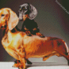 Doxie Daschsund Dogs diamond painting