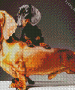 Doxie Daschsund Dogs diamond painting