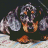 Doxie Daschsund Puppy diamond painting