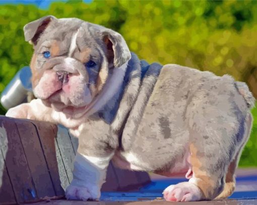 English Bulldog Puppy diamond painting