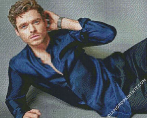 Handsome Actor Richard Madden diamond painting