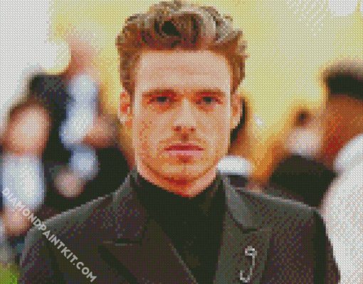 Handsome Richard Madden diamond painting