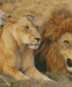 Lion Family diamond painting