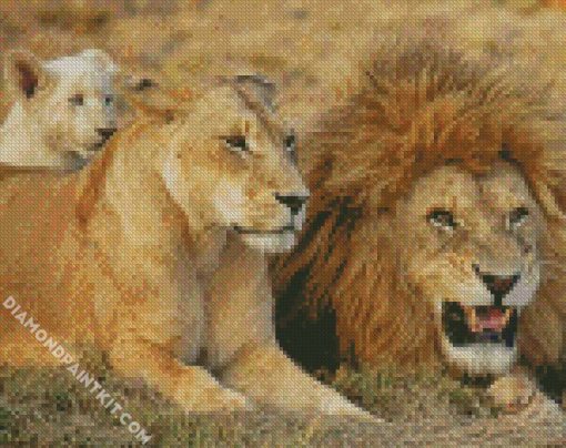 Lion Family diamond painting