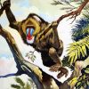 Mandrill In Jungle diamond painting