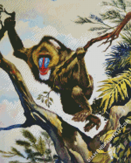 Mandrill In Jungle diamond painting