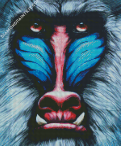 Mandrill Monkey Face diamond painting