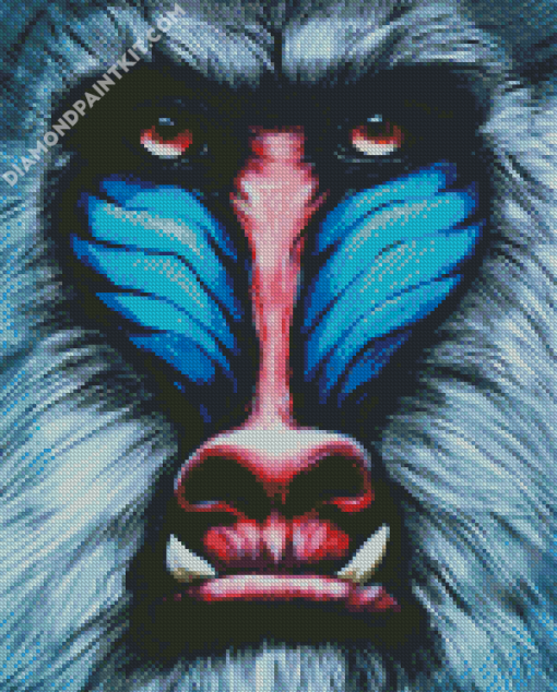 Mandrill Monkey Face diamond painting