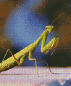 Mantis Insect diamond painting