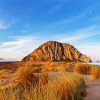 Morro Bay State Park diamond painting