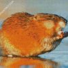 Muskrat diamond painting