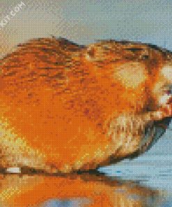 Muskrat diamond painting