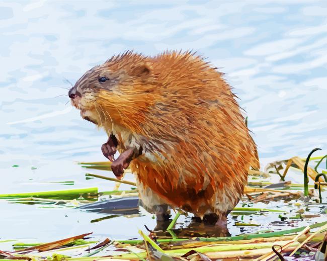 Muskrat Animal diamond painting