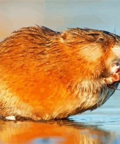 Muskrat diamond painting