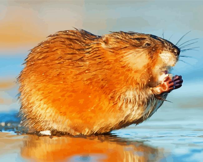 Muskrat diamond painting