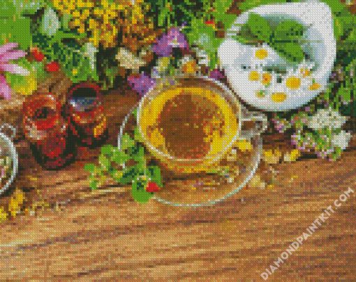 Naturopathy Illustration diamond painting