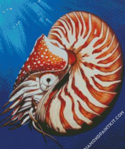 Nautilidae Shell diamond painting