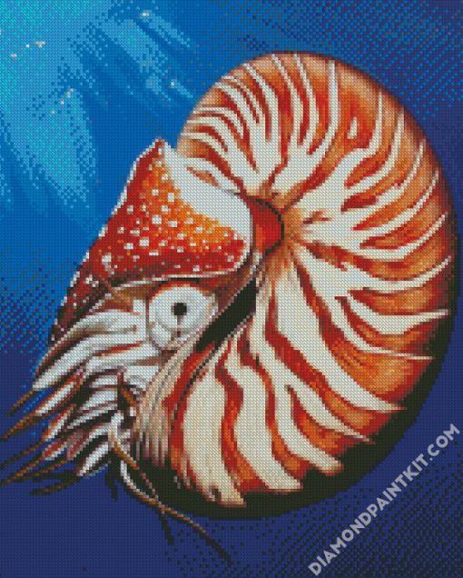 Nautilidae Shell diamond painting