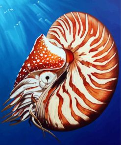 Nautilidae Shell diamond painting