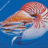 Nautilus diamond painting