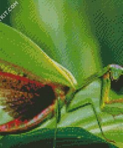 Praying Mantis diamond painting