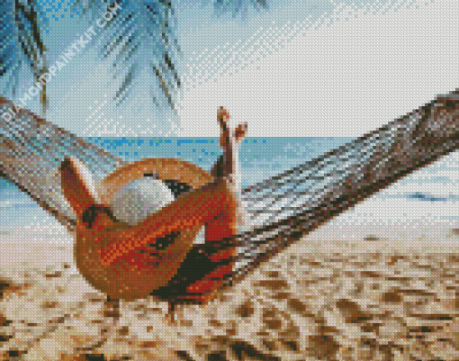 Relaxing On Hammock diamond painting