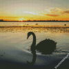 Swan Bird Silhouette diamond painting