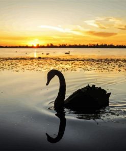 Swan Bird Silhouette diamond painting