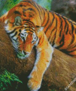 Wild Tiger diamond painting