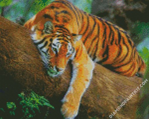 Wild Tiger diamond painting