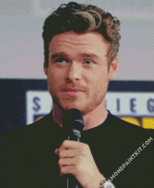 Actor Richard Madden diamond painting