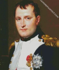 Aesthetic Napoleon diamond painting