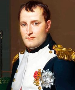 Aesthetic Napoleon diamond painting