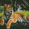 Aesthetic Tiger diamond painting