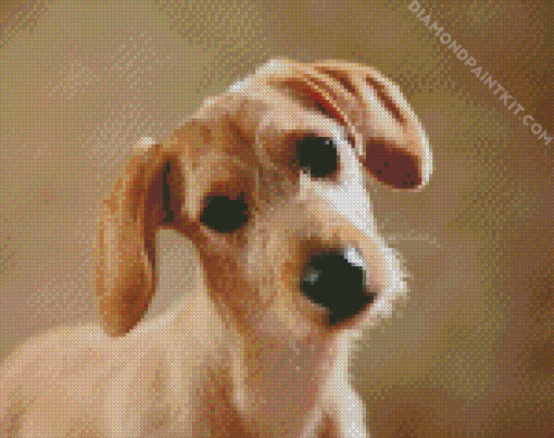 Beige Doxie Daschsund diamond painting