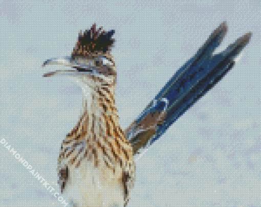 Blue Tailed Roadrunner diamond painting