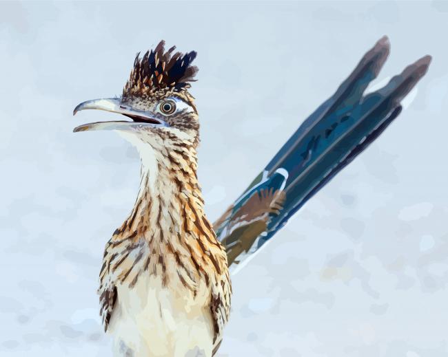 Blue Tailed Roadrunner diamond painting