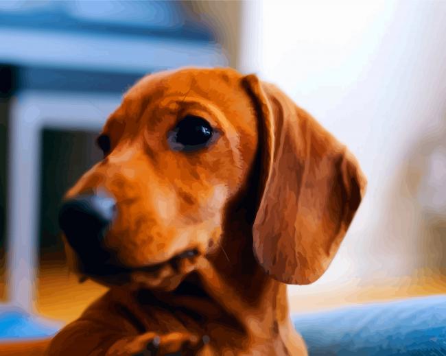 Brown Doxie Daschsund Head diamond painting