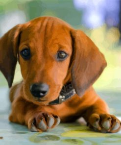 Brown Puppy Doxie Daschsund diamond painting