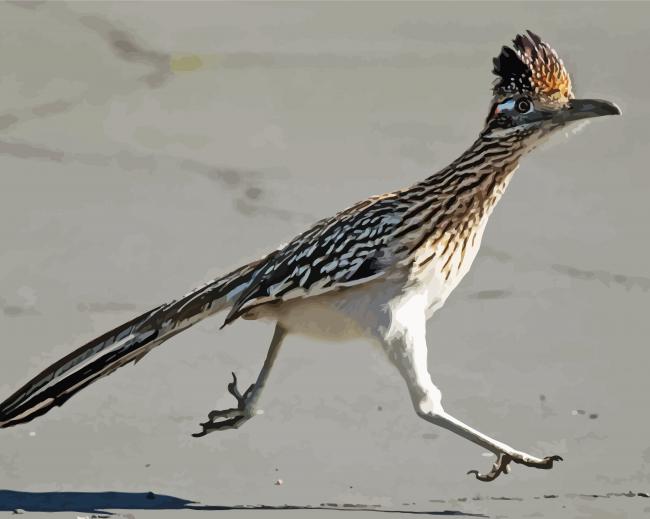 Chaparral Roadrunner Bird diamond painting