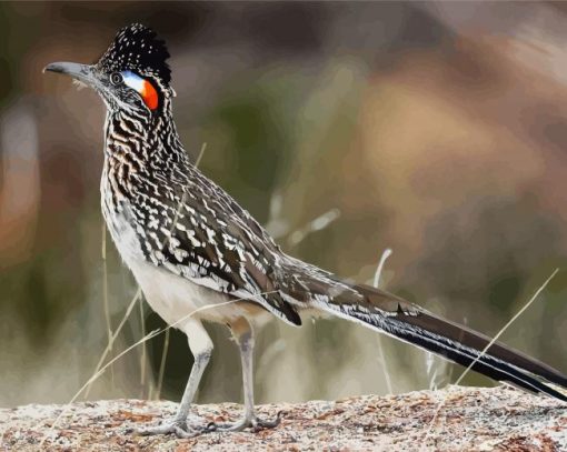 Chaparral Roadrunner diamond painting